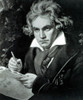 Ludwig Van Beethoven  Csu ArchivesEverett Collection History - Item # VAREVCPSDLUVACS001
