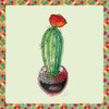 Rainbow Cactus I Poster Print by Marie Elaine Cusson - Item # VARPDXRB12258MC