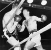 Heavyweight Champion Rocky Marciano Backs Roland Lastarza Against The Ropes. Sept. 24 History - Item # VAREVCHISL039EC232