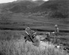U.S. Soldiers Of A 4.2 Mortar Crew Returns Enemy Fire In Battle Of Masan In South Korea. The Battle Was Fought In The Vicinity Of Masan And The Naktong River From Aug. 5 To Sept. 19 History - Item # VAREVCHISL038EC200