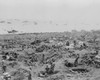 Marines In Foxholes On The Southeast Edge Of Motoyama Airfield #1 History - Item # VAREVCHISL037EC805