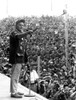 Bob Hope Entertaining The Troops In Saudi Arabia During The Gulf War History - Item # VAREVCPBDBOHOEC188