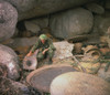 Vietnam War. Us Army Infantryman History - Item # VAREVCHISL033EC547