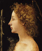 The Young St. John The Baptist Fine Art - Item # VAREVCHISL046EC111