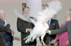 Ronald Reagan At White House Ceremony To Receive The 40Th Thanksgiving Turkey. Nov. 13 History - Item # VAREVCHISL040EC600