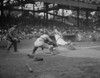 Washington Senators' Goose Goslin Slides Safely Into Home History - Item # VAREVCHISL041EC311