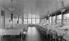 Spanish Flu Epidemic 1918-1919 In America. Scene In D Ward Of The Station Hospital History - Item # VAREVCHISL043EC687