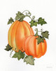 Pumpkin And Vines I Poster Print by Kathleen Parr McKenna - Item # VARPDX38709