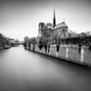 Notre Dame Ii Poster Print by Wilco Dragt - Item # VARPDXD1063D