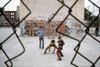 1970S America. Three Young Boys Pose In Front Of A Graffitied Wall In A Park In Brooklyn History - Item # VAREVCHCDARNAEC010