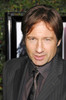 David Duchovny At Arrivals For Things We Lost In The Fire L.A. Premiere, Mann'S Egyptian Theater, Los Angeles, Ca, October 15, 2007. Photo By Michael GermanaEverett Collection Celebrity - Item # VAREVC0715OCBGM007