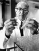 Jonas Salk. Courtesy Csu Archives  Everett Collection History - Item # VAREVCPBDJOSACS001
