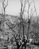 Vietnam War. South Vietnamese Soldiers History - Item # VAREVCHISL033EC613