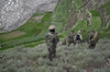 Coalition Soldiers From U.S. Canada And Afghanistan Looking For Osama Bin Laden Taliban And Al Qaeda Forces Near The Village Of Markhanai In The Tora Bora Region Of Afghanistan. May 7 2002. History - Item # VAREVCHISL024EC203