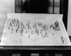 Social Security Board Ready To Operate. 1936 Map Shows Figures Representing An Approved State Plan By Which Federal-State Cooperation Is Now Providing Financial Assistance To Needy Aged History - Item # VAREVCCSUA000CS888