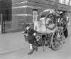 A Boy Pulls History - Item # VAREVCHISL037EC768
