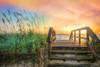 Walk Into Sunrise Poster Print by Celebrate Life Gallery - Item # VARPDX50168