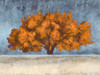 Golden Oak Poster Print by Jan Eelder - Item # VARPDX3JE4193