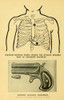 Assassination Of President William Mckinley At Pan-American Exposition History - Item # VAREVCHISL046EC013