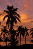 Tropical Sunsets C Poster Print by Mike Jones - Item # VARPDX70110