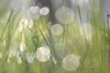 http://c328301.r1.cf1.rackcdn.com/PDXG918DSMALL.jpg