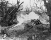 Marines Use A Flame Thrower Against Japanese Defenses Blocking Advance To Iwo Jima_S Mount Suribachi. Ca. Feb. 20-March 16 History - Item # VAREVCHISL036EC752