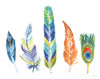 Rainbow Feathers Iii Poster Print by Farida Zaman - Item # VARPDX37647