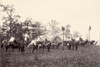 The Civil War. U.S. Military Telegraph Construction Corps Hanging A Telegraph Wire. Timothy O'Sullivan History - Item # VAREVCHCDLCGBEC955
