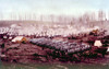 The Union Army Of The Potomoc History - Item # VAREVCH4DCIWAEC015