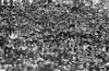 Large Crowd Listening To Theodore Roosevelt Speaking In Yonkers History - Item # VAREVCHISL002EC086