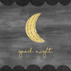 Good Night Sleep Tight I Poster Print by Noonday Design - Item # VARPDXRB12557ND