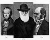 Charles Darwin History - Item # VAREVCPBDCHDACS001