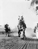 Seabiscuit Acrossing The Finish Line History - Item # VAREVCHISL013EC195