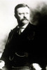 Theodore Roosevelt. Courtesy Csu Archives  Everett Collection History - Item # VAREVCPSDTHROCS001