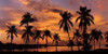 Tropical Sunsets I Poster Print by Mike Jones - Item # VARPDXPOD60420