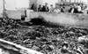 The Exhumed Bodies Of Prisoners At The Concentraton Camp In Lublin History - Item # VAREVCHBDCONCCS015