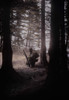 U.S. Soldier Pausing In A Wooded Area During The First Ten Days Of The Battle Of The Bulge. Dec. 12-22 History - Item # VAREVCHISL037TX262