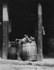 Small Boys Picking From Barrels History - Item # VAREVCHCDLCGCEC043