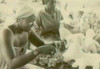 Woman Making Stuffed Animals At The People'S Temple Agricultural Project. Jonestown History - Item # VAREVCHISL034EC377