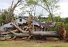 Tornado Aftermath In La Grange Georgia April 27 2011. History - Item # VAREVCHISL030EC003