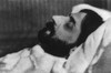 Marcel Proust On His Death Bed In 1922. He Died While Still Working On His Multi-Volume Master Work History - Item # VAREVCHISL042EC944