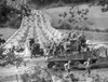 Americans Roll Through Siegfried Line On A 'Tank Dozer' Near Roetgen History - Item # VAREVCHISL040EC362