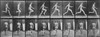 Consecutive Images Of A Nude Man Running. From Eadweard Muybridge'S History - Item # VAREVCHISL012EC072