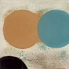 Terra Circles I Poster Print by David Skinner - Item # VARPDXPOD60436