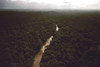 Kaituma River Flowing Through The Rain Forest Near The People'S Temple Agricultural Project History - Item # VAREVCHISL034EC366