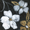 Moonlight Garden Ii Poster Print by Tava Studios - Item # VARPDX19113