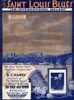 The Saint Louis Blues History - Item # VAREVCH8DSHMUEC003
