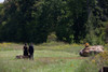 President Barack Obama And First Lady Michelle Obama At Flight 93 National Memorial. Sept. 11 History - Item # VAREVCHISL040EC178