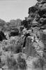 Mount Sinai History - Item # VAREVCHCDLCGCEC165