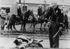 Alabama State Trooper Stands Over An Injured Protester On Bloody Sunday In Selma History - Item # VAREVCHISL033EC622